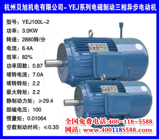 3.0KW  YEJϵеƶ綯 YEJ100L-2